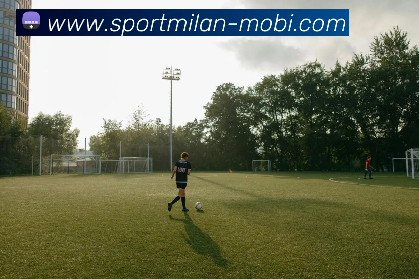 米兰体育APP 封面图